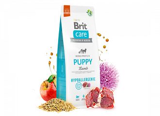 Puppy Lamb Hypoallergenic