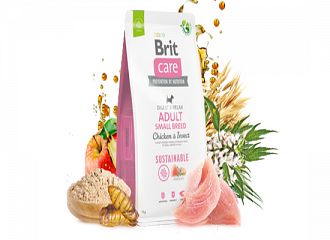 Sustainable Adult Small CHICKEN & INSECT