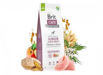 Sustainable Dog Junior Large CHICKEN & INSECT