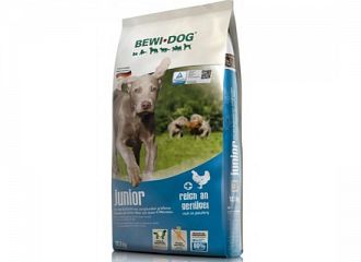JUNIOR Breeds Chicken
