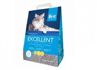 Cat Excellent