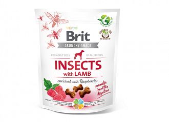 Snack Crunchy Cracker Insects 
