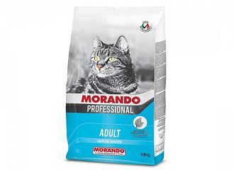 Cat Fish 15kg