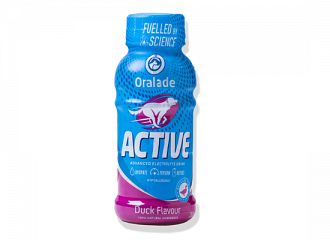 ACTIVE DUCK