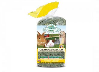 Χόρτο Orchard Grass Hay