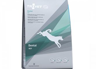 Dental OCF