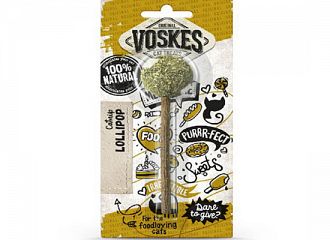 Catnip Lollipop