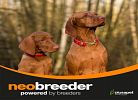 Neobreeder Professional mini puppy 20kgr