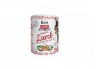 Cat Superfruits Snack 