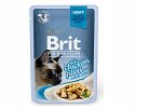 Premium Cat Gravy Pouches 