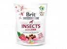 Snack Crunchy Cracker Insects 