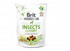 Snack Crunchy Cracker Insects 