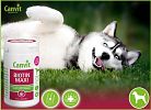 Biotin Maxi άνω των 25kg