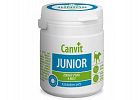 Junior canvit.