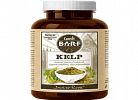 Kelp
