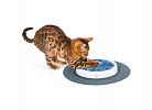 Design Senses Scratch Pad