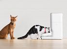 Έξυπνη αυτόματη ταΐστρα Fresh 2 CatLink F04 PRO