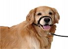 Easy leader Headcollar - Περιλαίμιο εκπαίδευσης