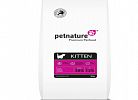 KITTEN petnature