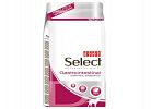 Gastrointestinal Digestion  Veterinary Diet